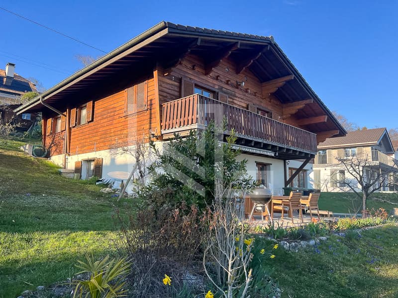 Coquet chalet avec vue - quartier prisé (6)