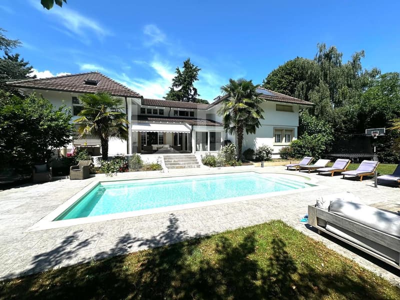 En plein coeur de Terre Sainte - 6 chambres (2)
