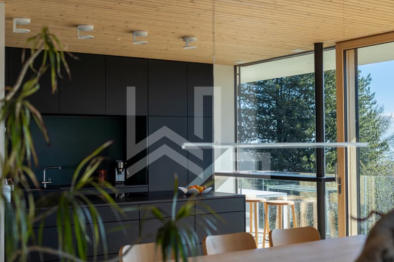 Villa Certifiée Minergie A+P (4)