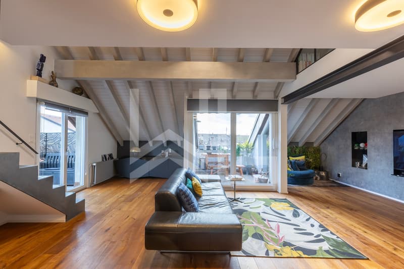 Superbe duplex entièrement rénové (5)