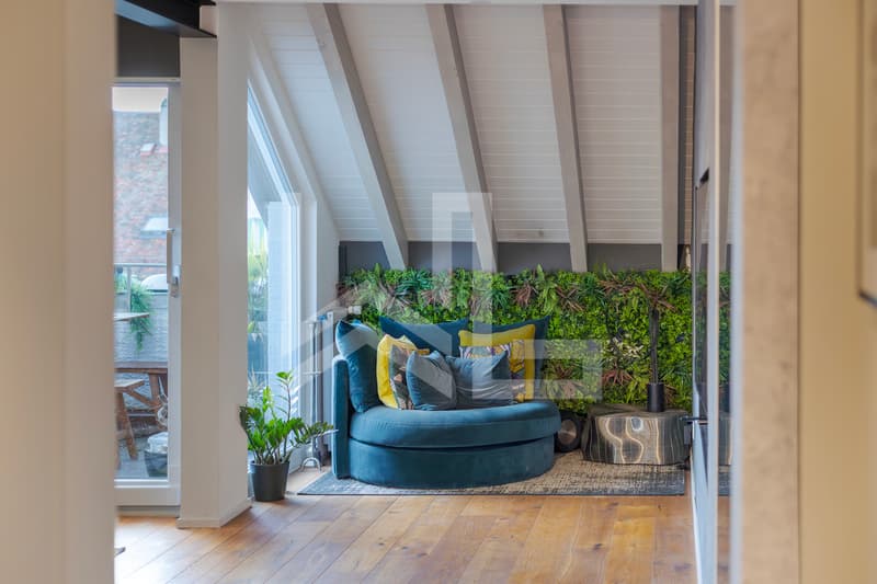 Superbe duplex entièrement rénové (6)