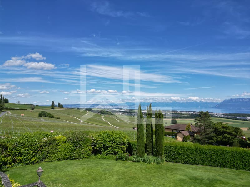 Villa avec vue imprenable sur la Côte, le Lac et les Alpes (1)