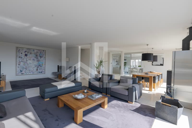 Villa contemporaine d'exception avec panorama spectaculaire sur le lac (3)