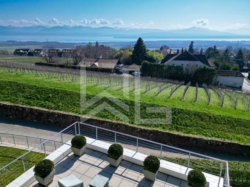 Villa contemporaine d'exception avec panorama spectaculaire sur le lac (2)