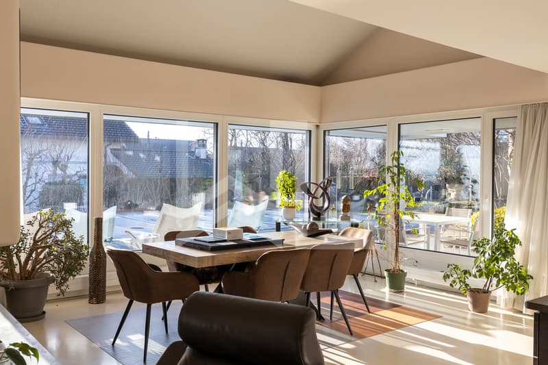 Une adresse d'exception face au Léman et aux Alpes (8)