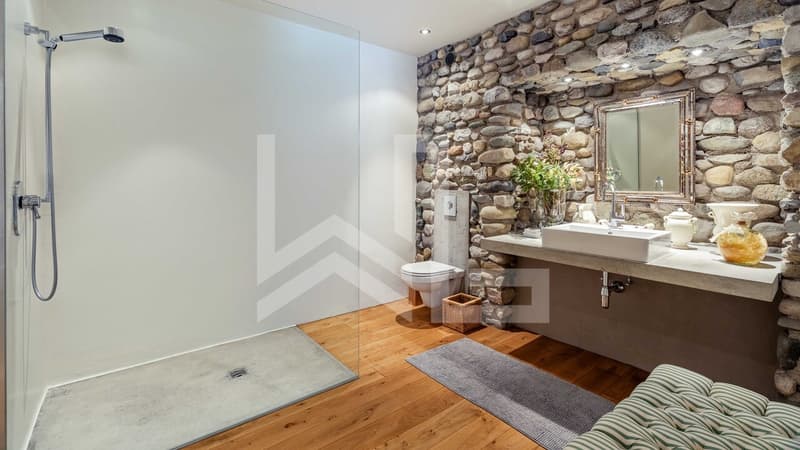 UNE PROPRIÉTÉ AU CARACTÈRE ARCHITECTURAL UNIQUE (13)