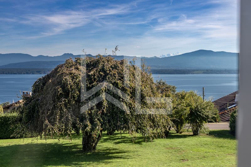 Une adresse d'exception face au Léman et aux Alpes (7)