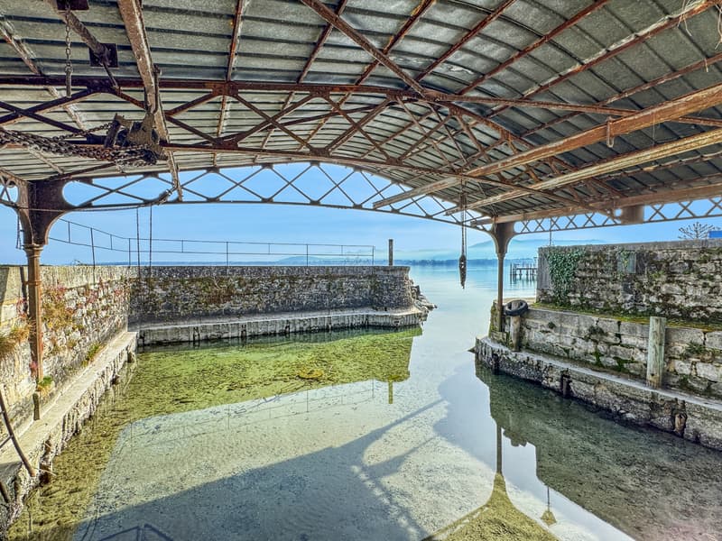 Versoix: Maison de charme pieds dans l'eau, avec port privé (2)