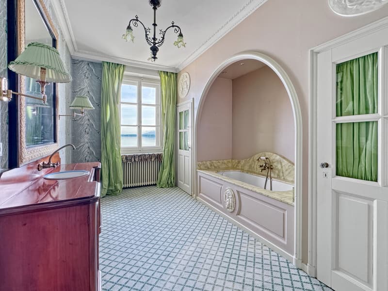 Versoix: Maison de charme pieds dans l'eau, avec port privé (11)