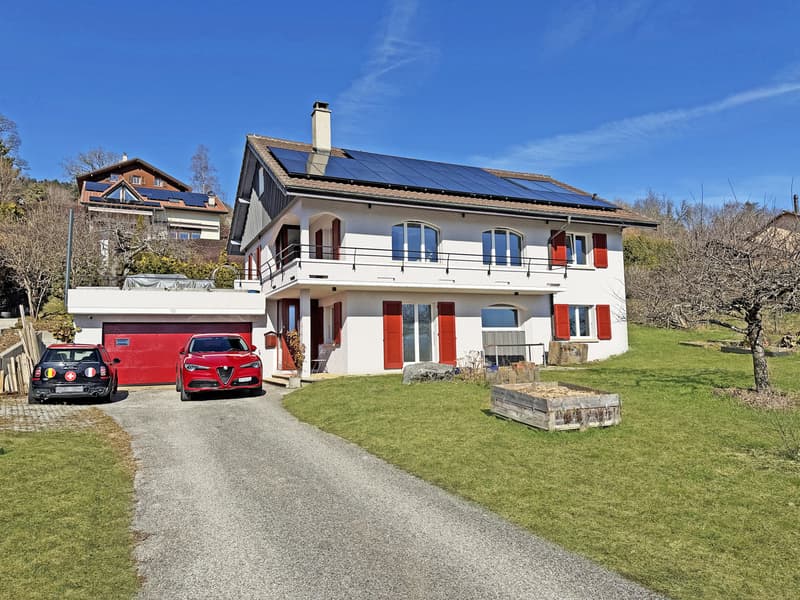 Magnifique maison entièrement rénovée sur une grande parcelle (1)