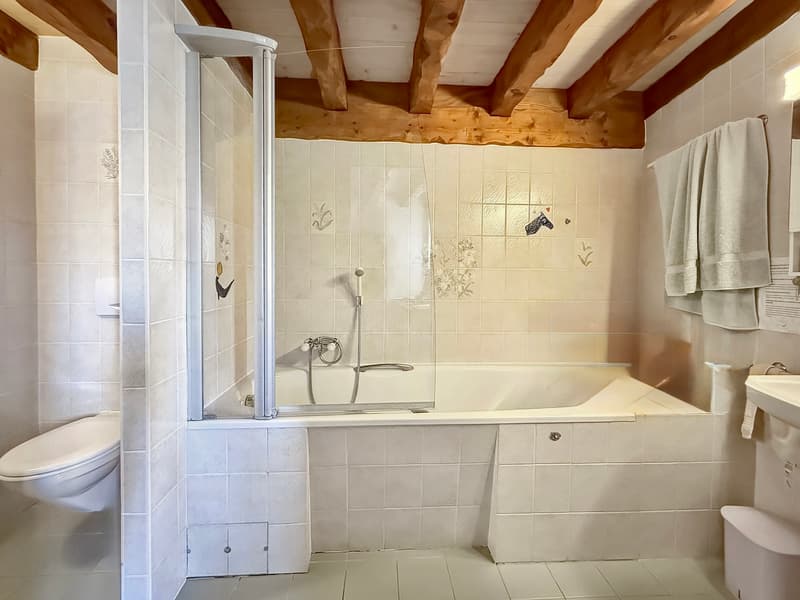 Authentique maison de village avec jardin privatif (7)