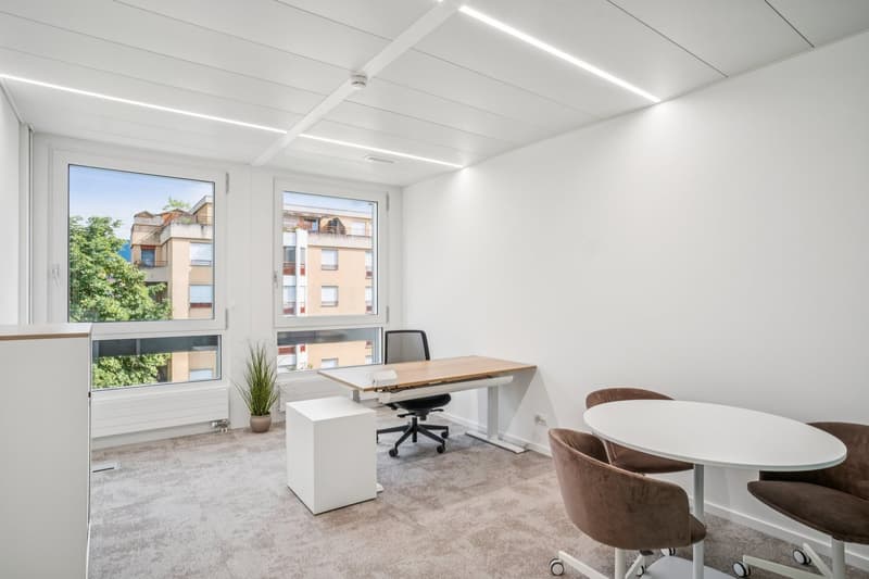 Superbes bureaux neufs et entièrement équipés (3)