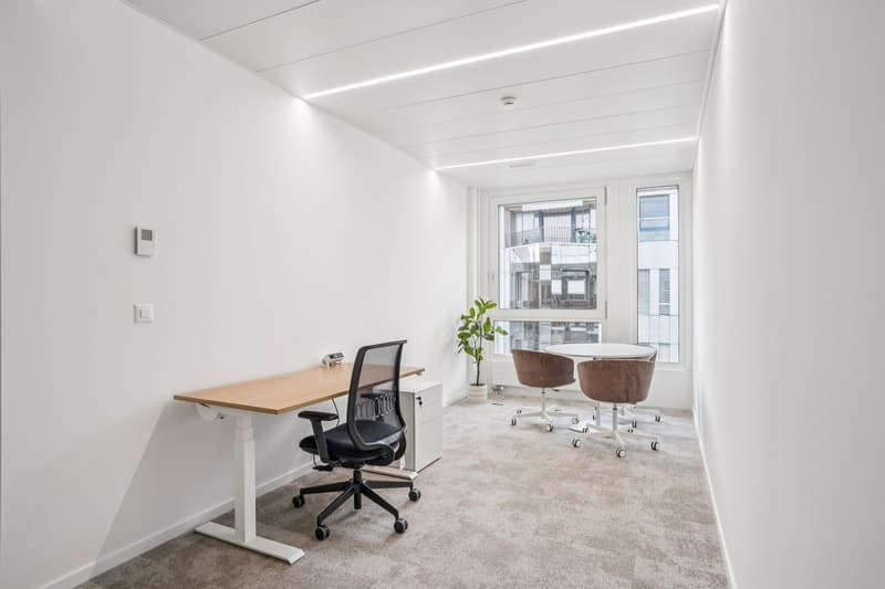 Superbes bureaux neufs et entièrement équipés (15)