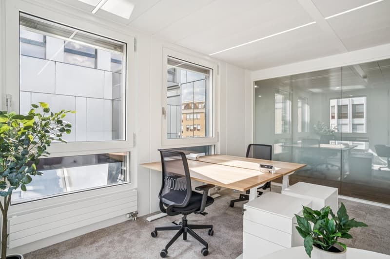 Superbes bureaux neufs et entièrement équipés (10)
