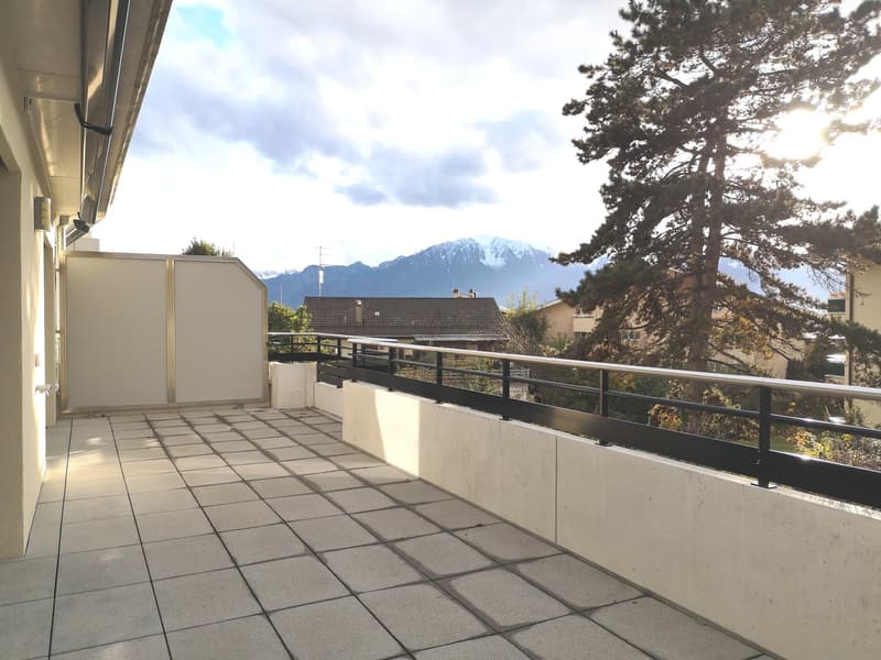 Magnifique appartement en duplex avec vue sur les Alpes et le lac (14)