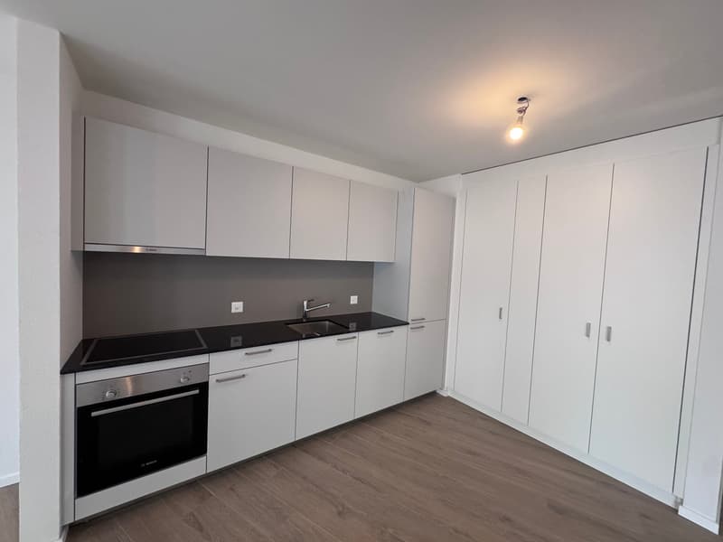 modern kitchen with white cabinets, black countertops, stainless steel appliances, wooden floor
