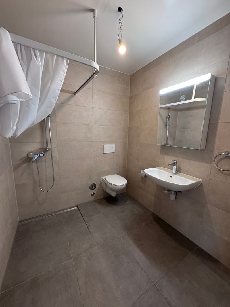 Bathroom with shower, toilet, sink, mirror, and towel rack