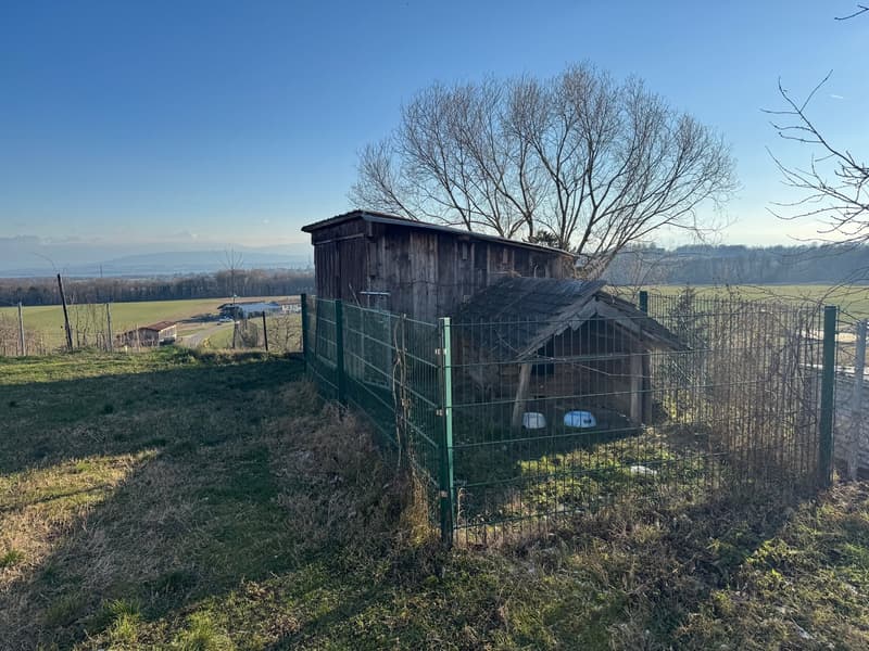 Charmante maison individuelle de 5 pièces à Coinsins avec grand jardin privatif (6)