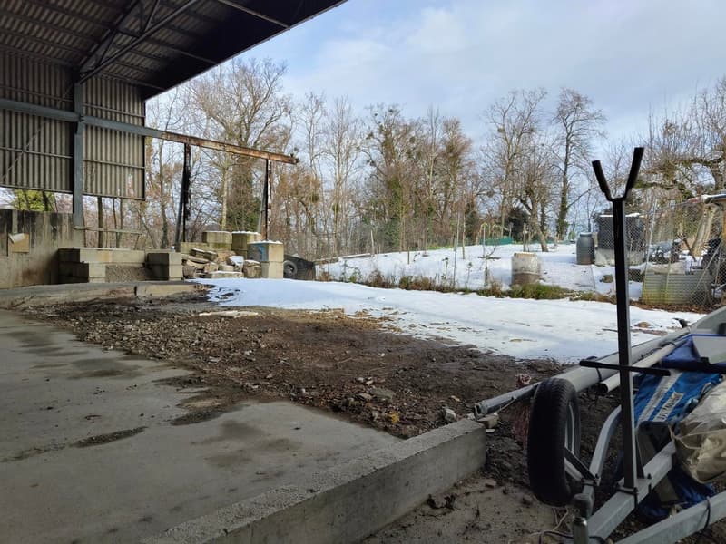 Outdoor covered storage building with steps, adjacent paved area, bare ground, snow-covered ground in distance, trees