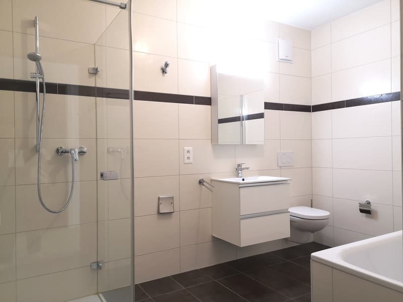 Spacieux appartement duplex de 5.5 pièces avec vue panoramique à Blonay (10)