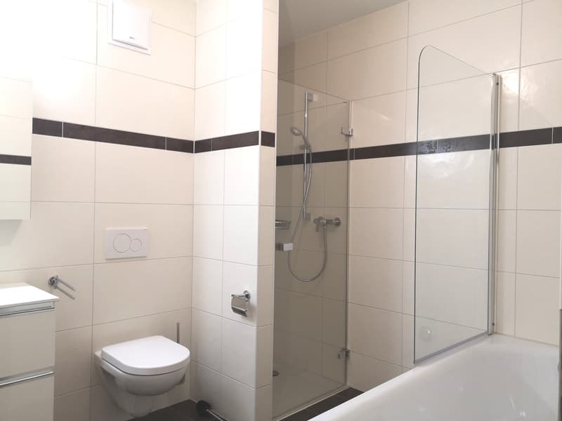Spacieux appartement duplex de 5.5 pièces avec vue panoramique à Blonay (9)