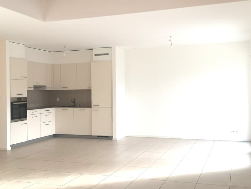 Spacieux appartement duplex de 5.5 pièces avec vue panoramique à Blonay (6)
