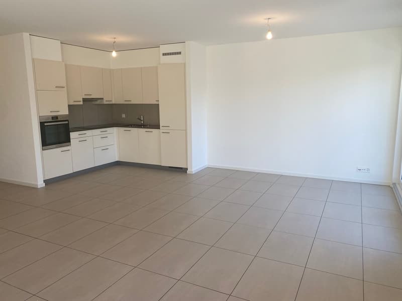 Spacieux appartement duplex de 5.5 pièces avec vue panoramique à Blonay (3)