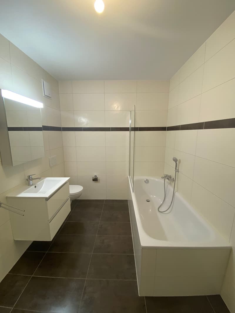 Spacieux appartement duplex de 5.5 pièces avec vue panoramique à Blonay (8)