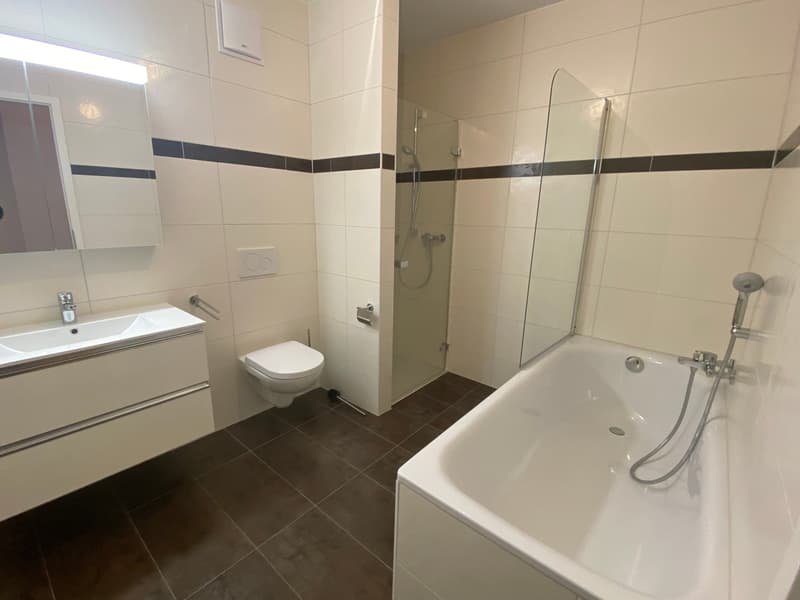 Spacieux appartement duplex de 5.5 pièces avec vue panoramique à Blonay (6)