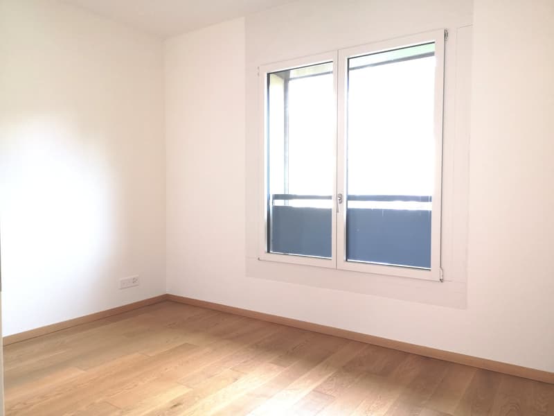 Spacieux appartement duplex de 5.5 pièces avec vue panoramique à Blonay (2)