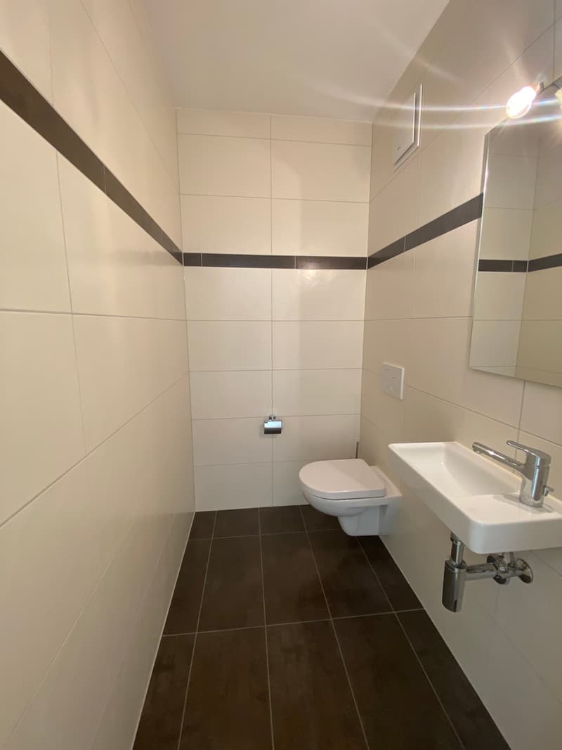 Spacieux appartement duplex de 5.5 pièces avec vue panoramique à Blonay (25)