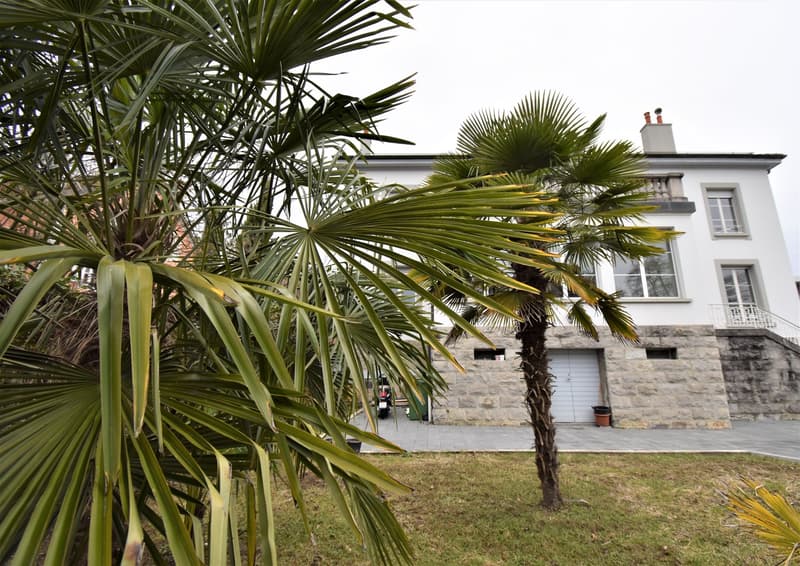 Majestueuse Villa de 12 pièces à Morges – avec grand jardin privatif (56)