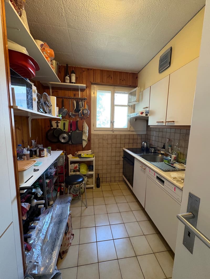 Appartement de 2 pièces à Saint-Sulpice, proche du lac - BAIL A DUREE DETERMINEE (5)