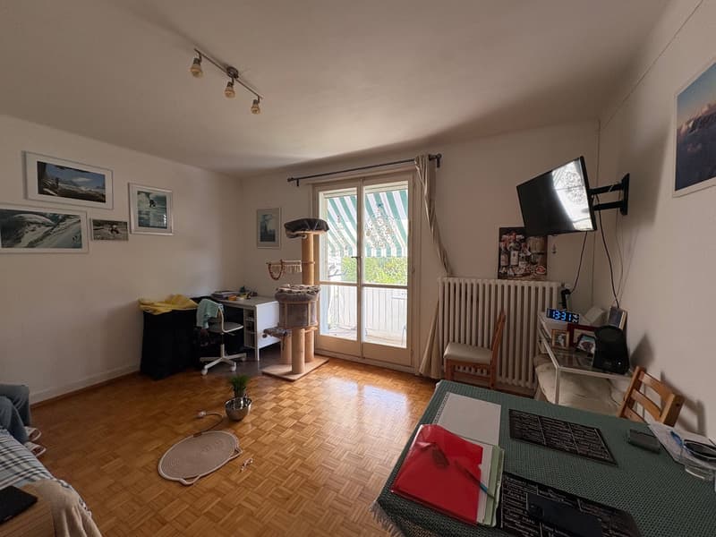 Appartement de 2 pièces à Saint-Sulpice, proche du lac - BAIL A DUREE DETERMINEE (1)