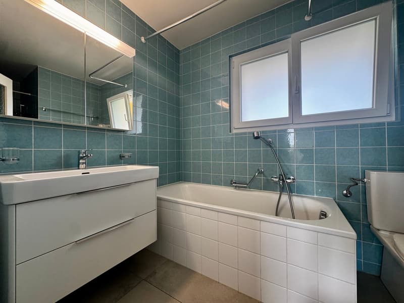 Superbe maison de caractère avec un appartement indépendant (12)