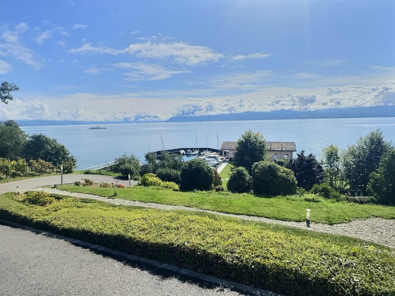 BIEN EXCEPTIONNEL!! Grand appartement en viager occupé sans rente. Vue Lac et Port privé. (5)
