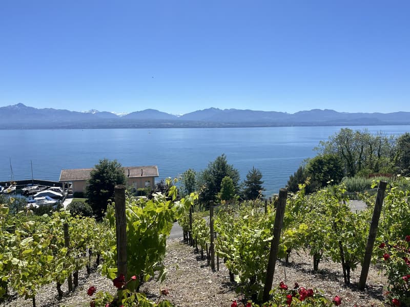 BIEN EXCEPTIONNEL!! Grand appartement en viager occupé sans rente. Vue Lac et Port privé. (1)