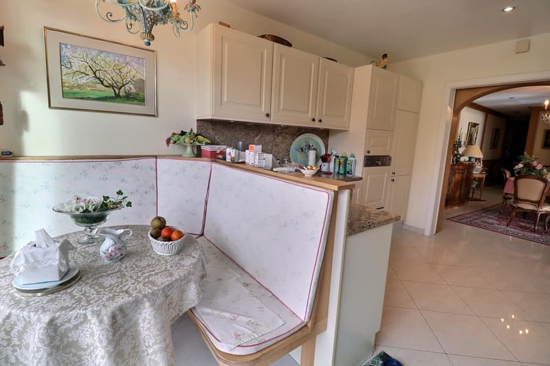 BIEN EXCEPTIONNEL!! Grand appartement en viager occupé sans rente. Vue Lac et Port privé. (10)