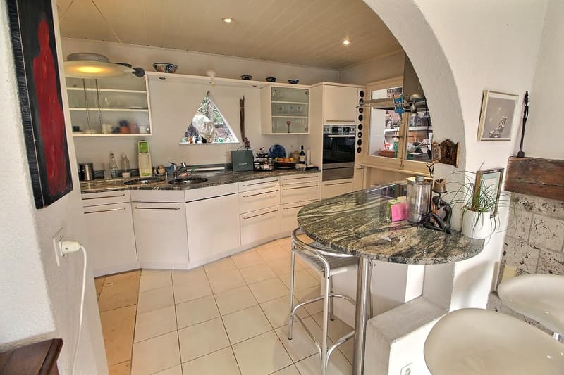 Superbe maison individuelle avec vue Lac en viager occupé sans rente (2)