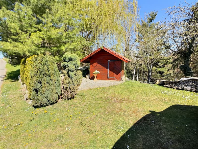 Maison en viager occupé sans rente (13)