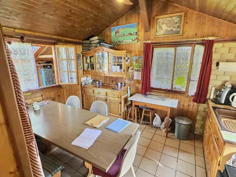 Maison en viager occupé sans rente (12)