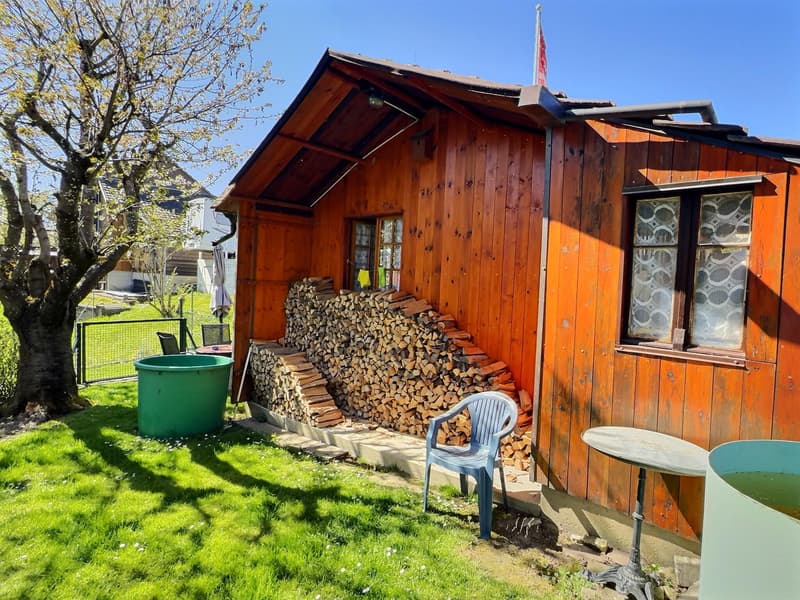 Maison en viager occupé sans rente (8)