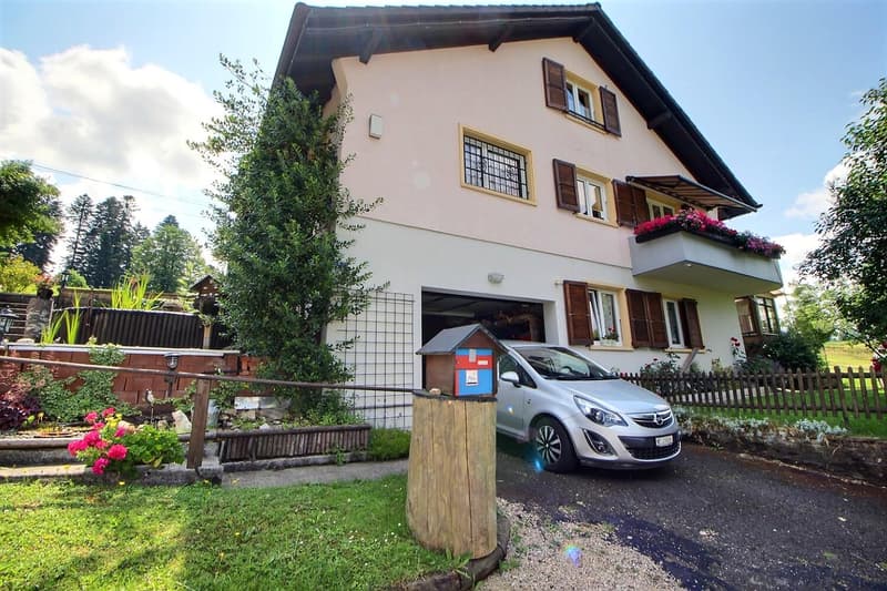 Grande maison familiale en viager occupé sans rente limité à 5 ans (1)