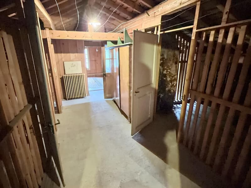 Magnifique appartement en viager occupé sans rente avec potentiel d'agrandissement (8)
