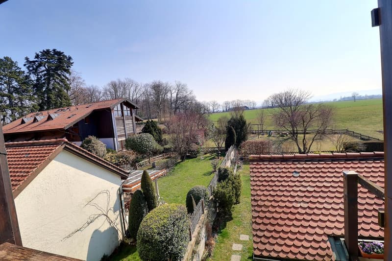 Magnifique duplex en attique en viager occupé sans rente (3)