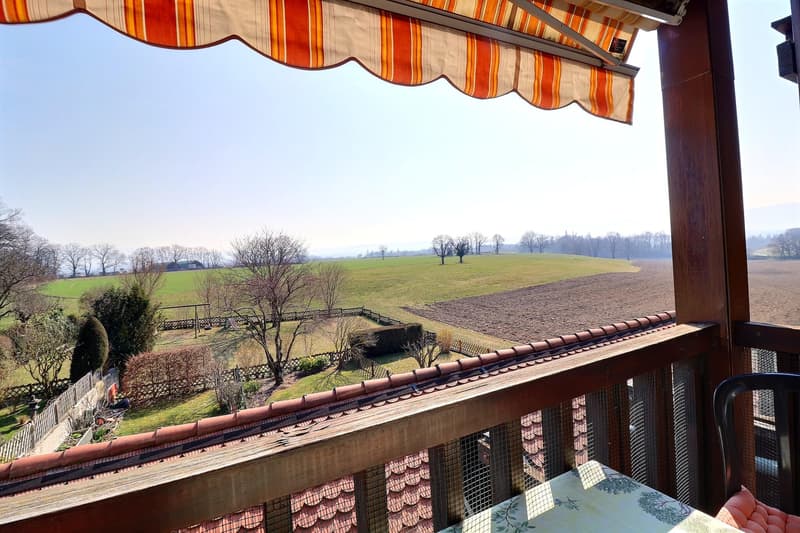 Magnifique duplex en attique en viager occupé sans rente (2)