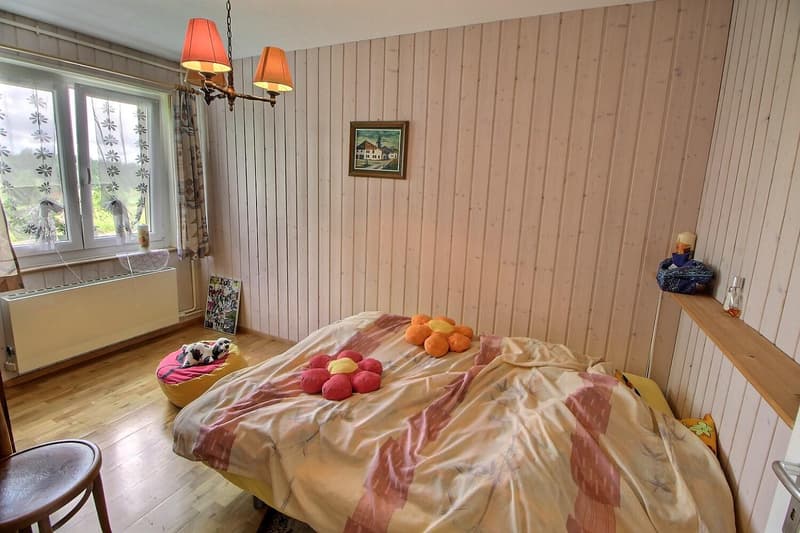 Grande maison familiale en viager occupé sans rente limité à 5 ans (6)
