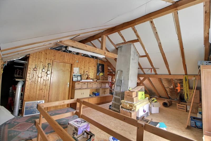Grande maison familiale en viager occupé sans rente limité à 5 ans (12)