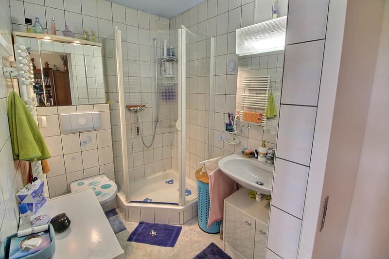 Grande maison familiale en viager occupé sans rente limité à 5 ans (9)
