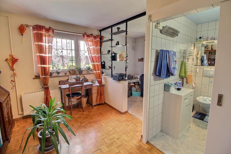 Grande maison familiale en viager occupé sans rente limité à 5 ans (8)